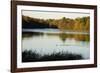 Lake, Autumn, Virginia Water, Surrey, England, United Kingdom-Charles Bowman-Framed Photographic Print