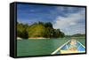 Lake Batang Ai, Batang Ai National Park, Sarawak, Malaysian Borneo, Malaysia, Southeast Asia, Asia-Nico Tondini-Framed Stretched Canvas