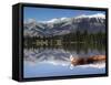 Lake Beauvert, Jasper, Jasper National Park, Alberta, Canada-Walter Bibikow-Framed Stretched Canvas