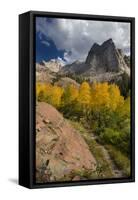 Lake Blanche Trail in Fall Foliage, Sundial Peak, Utah-Howie Garber-Framed Stretched Canvas