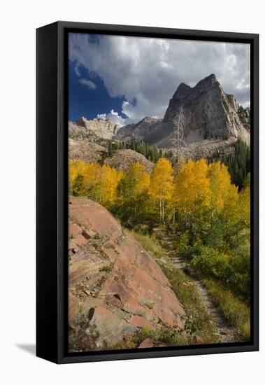 Lake Blanche Trail in Fall Foliage, Sundial Peak, Utah-Howie Garber-Framed Stretched Canvas