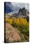 Lake Blanche Trail in Fall Foliage, Sundial Peak, Utah-Howie Garber-Stretched Canvas