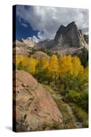 Lake Blanche Trail in Fall Foliage, Sundial Peak, Utah-Howie Garber-Stretched Canvas