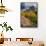 Lake Blanche Trail in Fall Foliage, Sundial Peak, Utah-Howie Garber-Framed Stretched Canvas displayed on a wall