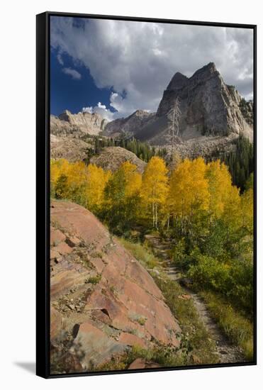 Lake Blanche Trail in Fall Foliage, Sundial Peak, Utah-Howie Garber-Framed Stretched Canvas