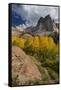 Lake Blanche Trail in Fall Foliage, Sundial Peak, Utah-Howie Garber-Framed Stretched Canvas