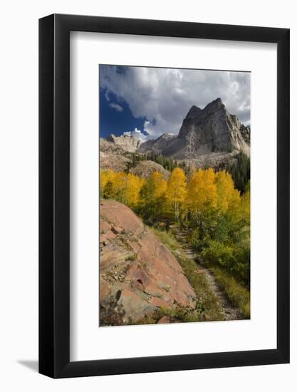 Lake Blanche Trail in Fall Foliage, Sundial Peak, Utah-Howie Garber-Framed Photographic Print