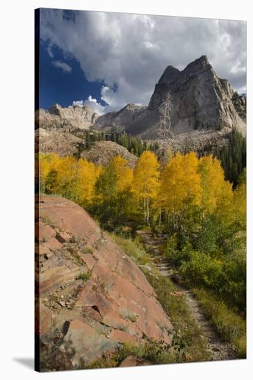 Lake Blanche Trail in Fall Foliage, Sundial Peak, Utah-Howie Garber-Stretched Canvas