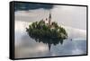 Lake Bled Boat (Pletna) Approaching Lake Bled Island at Sunrise, Gorenjska, Slovenia, Europe-Matthew Williams-Ellis-Framed Stretched Canvas