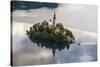 Lake Bled Boat (Pletna) Approaching Lake Bled Island at Sunrise, Gorenjska, Slovenia, Europe-Matthew Williams-Ellis-Stretched Canvas