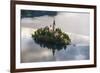 Lake Bled Boat (Pletna) Approaching Lake Bled Island at Sunrise, Gorenjska, Slovenia, Europe-Matthew Williams-Ellis-Framed Photographic Print