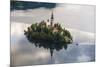 Lake Bled Boat (Pletna) Approaching Lake Bled Island at Sunrise, Gorenjska, Slovenia, Europe-Matthew Williams-Ellis-Mounted Photographic Print