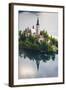 Lake Bled Boat (Pletna) at Lake Bled Island at Sunrise, Gorenjska, Slovenia, Europe-Matthew Williams-Ellis-Framed Photographic Print