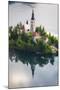 Lake Bled Boat (Pletna) at Lake Bled Island at Sunrise, Gorenjska, Slovenia, Europe-Matthew Williams-Ellis-Mounted Photographic Print