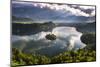 Lake Bled Reflections at Sunrise, Julian Alps, Gorenjska, Slovenia, Europe-Matthew Williams-Ellis-Mounted Photographic Print