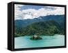 Lake Bled, Slovenia, Balkans, Europe-Lawrence Graham-Framed Stretched Canvas