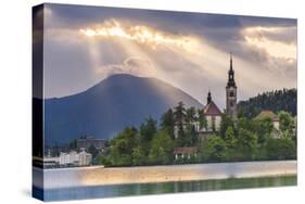 Lake Bled Sunrise Landscape-Matthew Williams-Ellis-Stretched Canvas