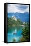 Lake Bled, Upper Carniola, Slovenia. Bled Castle seen across the lake. The town of Bled in the b...-null-Framed Stretched Canvas