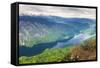 Lake Bohinj (Bohinjsko Jezero) Seen from Vogel Ski Resort-Matthew Williams-Ellis-Framed Stretched Canvas