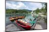 Lake Bohinj (Bohinjsko jezero), Triglav National Park, Upper Carniola, Slovenia. Canoes for rent...-null-Mounted Photographic Print