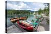 Lake Bohinj (Bohinjsko jezero), Triglav National Park, Upper Carniola, Slovenia. Canoes for rent...-null-Stretched Canvas