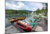 Lake Bohinj (Bohinjsko jezero), Triglav National Park, Upper Carniola, Slovenia. Canoes for rent...-null-Mounted Photographic Print