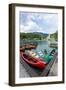 Lake Bohinj (Bohinjsko jezero), Triglav National Park, Upper Carniola, Slovenia. Canoes for rent...-null-Framed Photographic Print