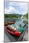 Lake Bohinj (Bohinjsko jezero), Triglav National Park, Upper Carniola, Slovenia. Canoes for rent...-null-Mounted Photographic Print
