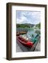 Lake Bohinj (Bohinjsko jezero), Triglav National Park, Upper Carniola, Slovenia. Canoes for rent...-null-Framed Photographic Print