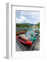 Lake Bohinj (Bohinjsko jezero), Triglav National Park, Upper Carniola, Slovenia. Canoes for rent...-null-Framed Photographic Print