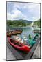 Lake Bohinj (Bohinjsko jezero), Triglav National Park, Upper Carniola, Slovenia. Canoes for rent...-null-Mounted Photographic Print