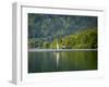 Lake Bohinj (Bohinjsko jezero), Triglav National Park, Upper Carniola, Slovenia. Sailing on the...-null-Framed Photographic Print