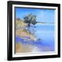 Lake Bolac-Craig Trewin Penny-Framed Art Print