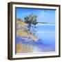 Lake Bolac-Craig Trewin Penny-Framed Art Print