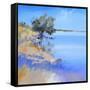 Lake Bolac-Craig Trewin Penny-Framed Stretched Canvas