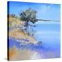 Lake Bolac-Craig Trewin Penny-Stretched Canvas