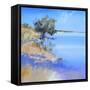 Lake Bolac-Craig Trewin Penny-Framed Stretched Canvas