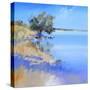 Lake Bolac-Craig Trewin Penny-Stretched Canvas