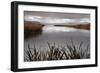 Lake Calm-David Lorenz Winston-Framed Art Print