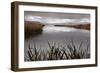 Lake Calm-David Lorenz Winston-Framed Art Print