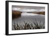 Lake Calm-David Lorenz Winston-Framed Art Print