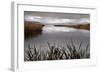 Lake Calm-David Lorenz Winston-Framed Art Print