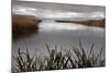 Lake Calm-David Lorenz Winston-Mounted Art Print