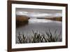 Lake Calm-David Lorenz Winston-Framed Giclee Print