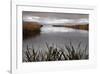 Lake Calm-David Lorenz Winston-Framed Giclee Print