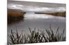 Lake Calm-David Lorenz Winston-Mounted Giclee Print