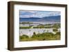 Lake Chamo, Ethiopia-Keren Su-Framed Photographic Print