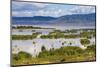 Lake Chamo, Ethiopia-Keren Su-Mounted Photographic Print