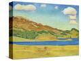 Stretched Canvas