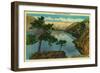 Lake Chelan, Washington - Lake Chelan, WA-Lantern Press-Framed Art Print